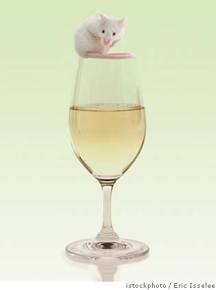 What Heavy-Drinking Rats Might Teach Us