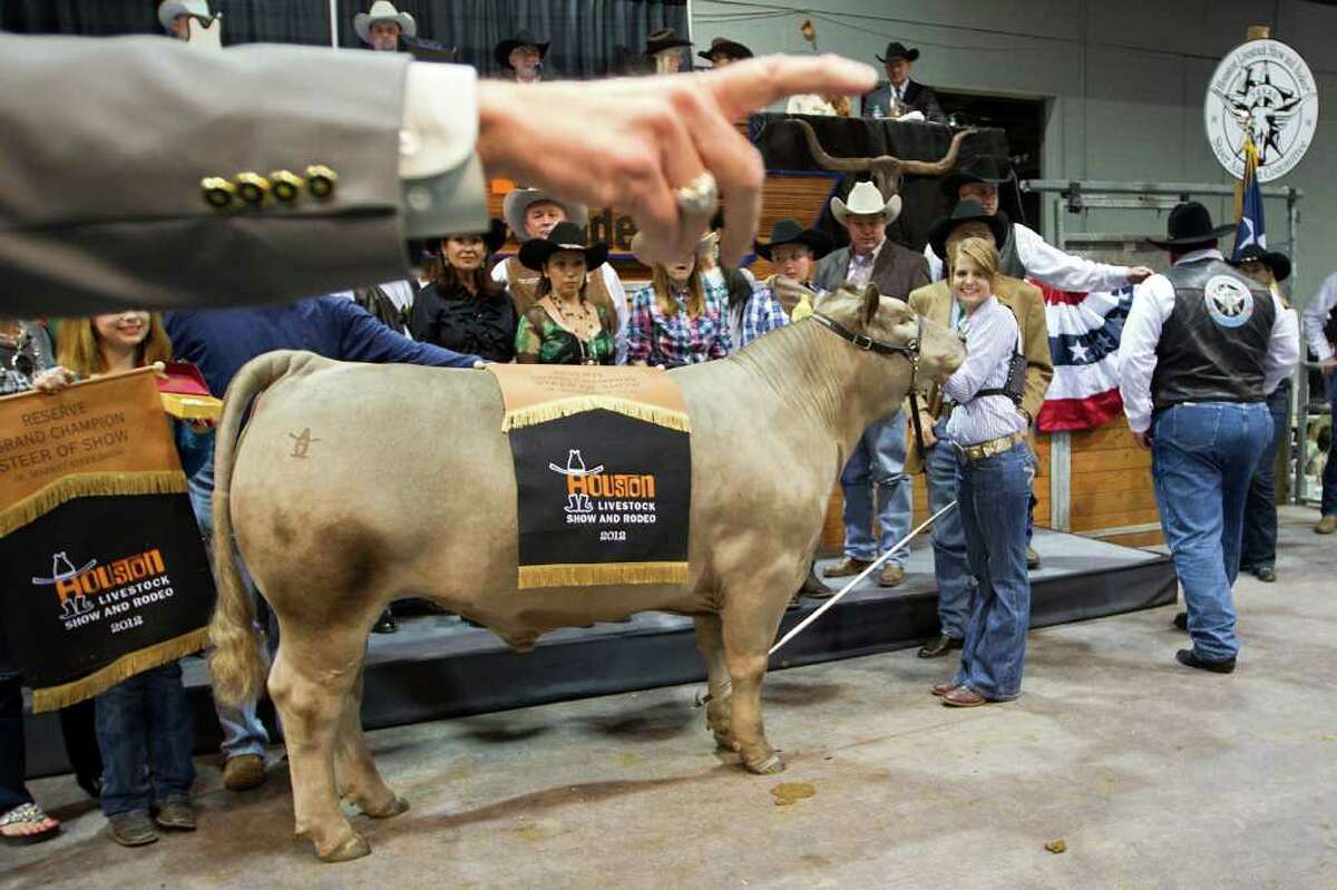 Grand Champion Steer