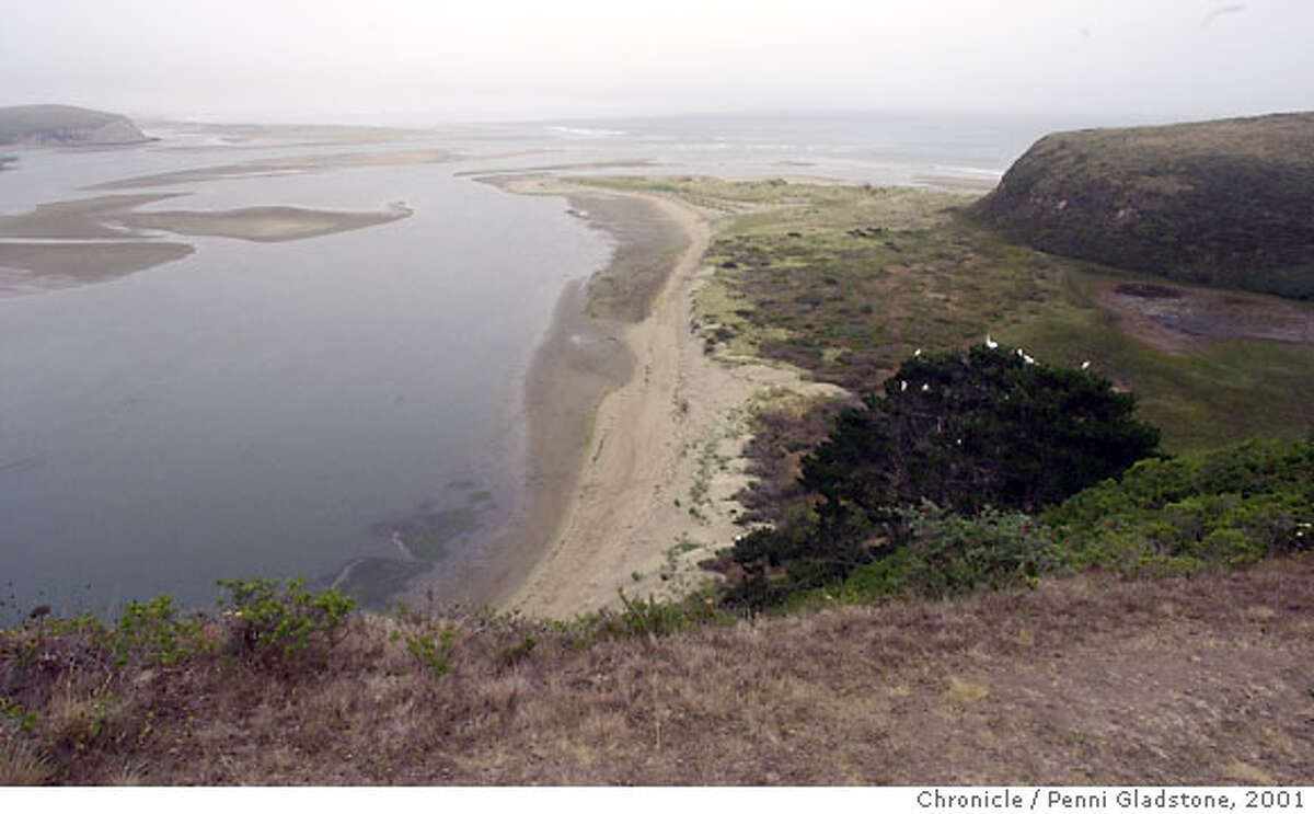 DRAKE4-C-13JUL01-MT-PG Drake's Estero in Pt Reyes Nat'l Seashore.The tiny cove where Sir Francis Drake is believed to have repaired his ship 422 years ago has reappeared, after vanishing for nearly half a century. CHRONICLE PHOTO BY PENNI GLADSTONE