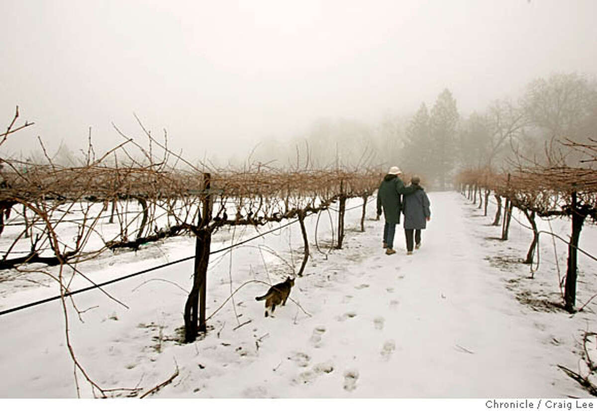 FOOTHILLS23_037_cl.JPG John and Barbara MacCready of Sierra Vista Winery in Placerville, walking through their snow covered vineyard with their cat, Rocky, following them. Craig Lee / The Chronicle MANDATORY CREDIT FOR PHOTOG AND SF CHRONICLE/ -MAGS OUT