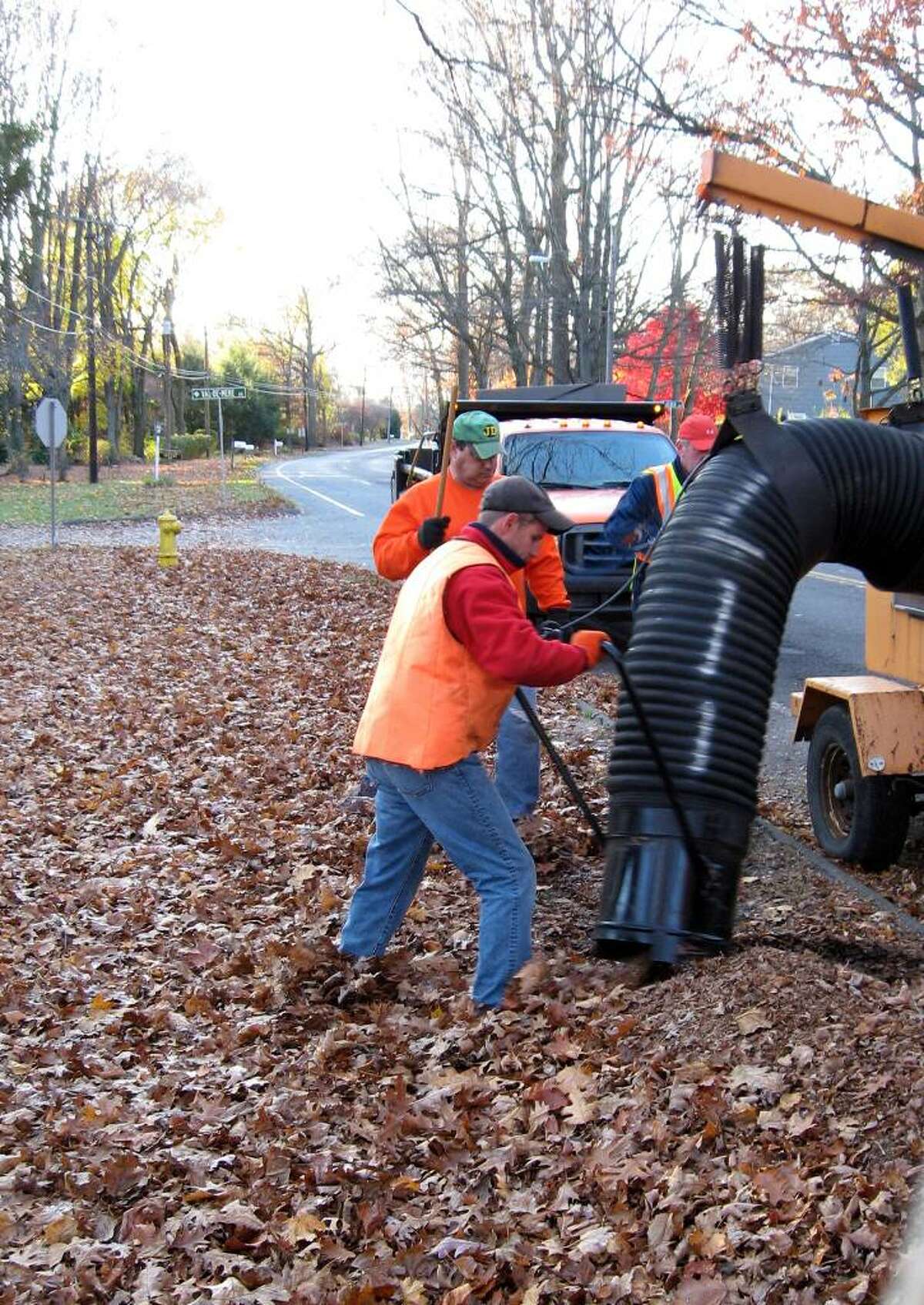 From tree top to compost heap the journey of one leaf and millions