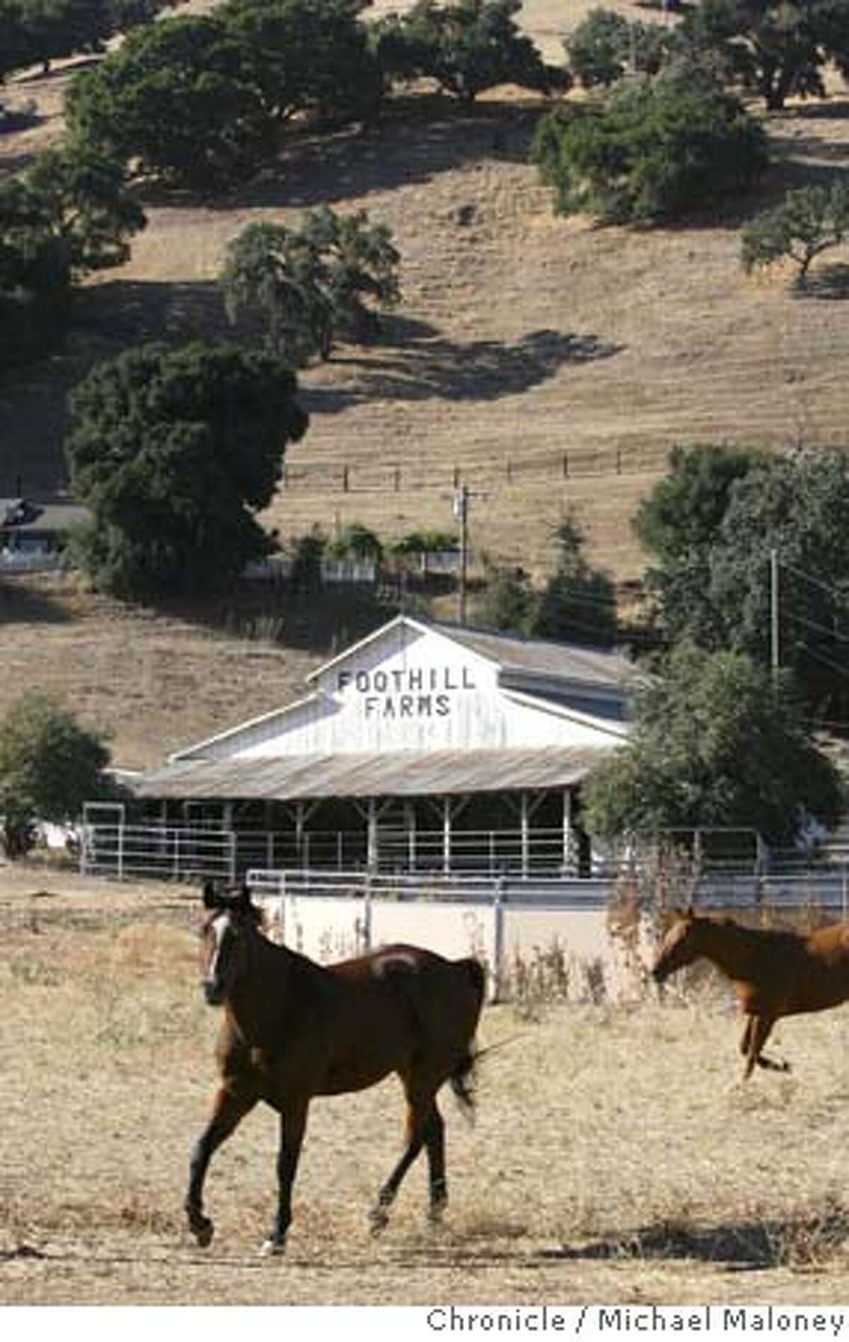 East Bay officials approve deal to buy ranch for huge park