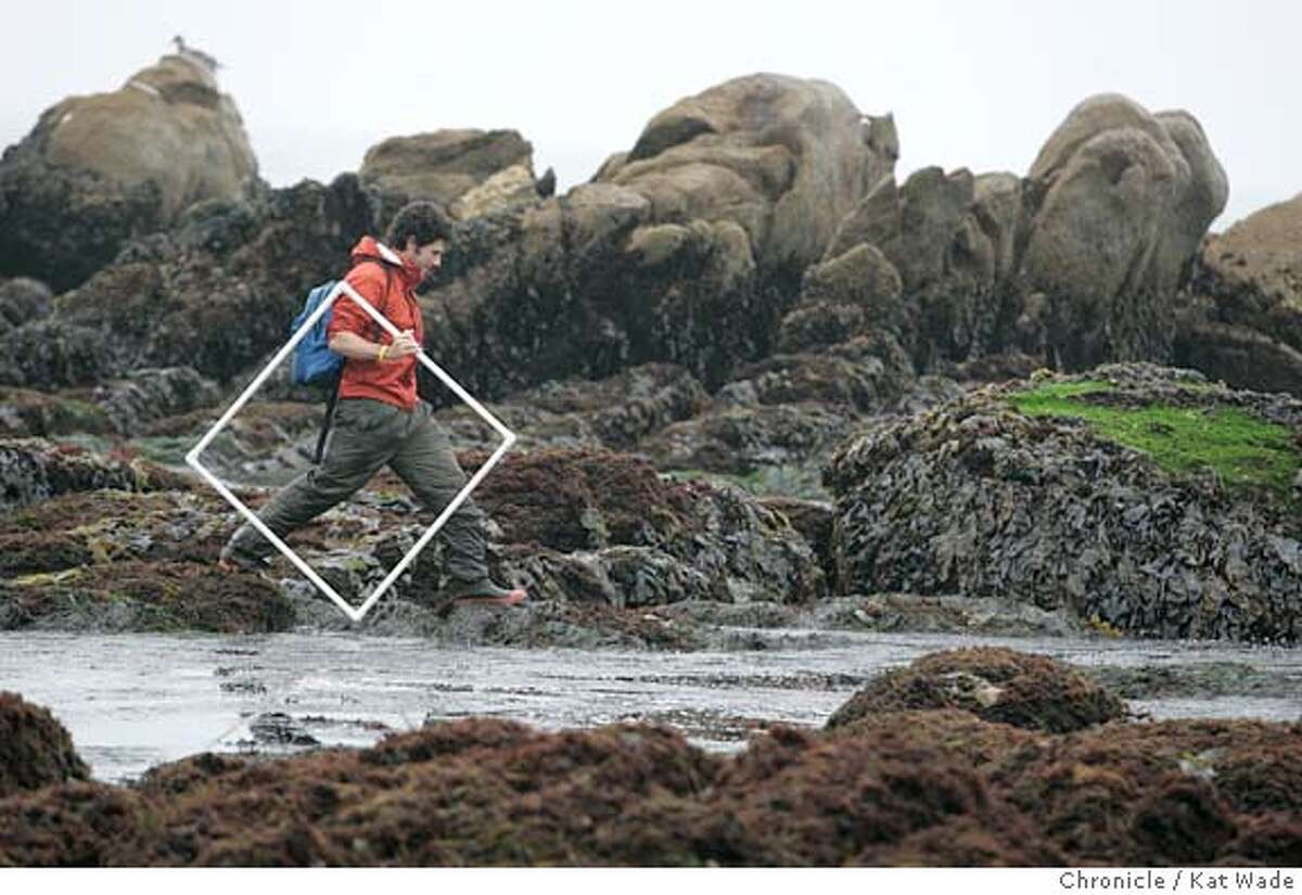 On 8/20/05 in Pacific Grove CA Rafael Sagarin, Phd., from the UCLA Institute of the Environment, recreates an experiment from the 1930's counting species of sea life in the tide pools near the Hopkins Reserve. Kat Wade/The Chronicle