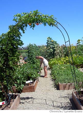 One woman's bliss: Organic 'moon garden' takes off full tilt