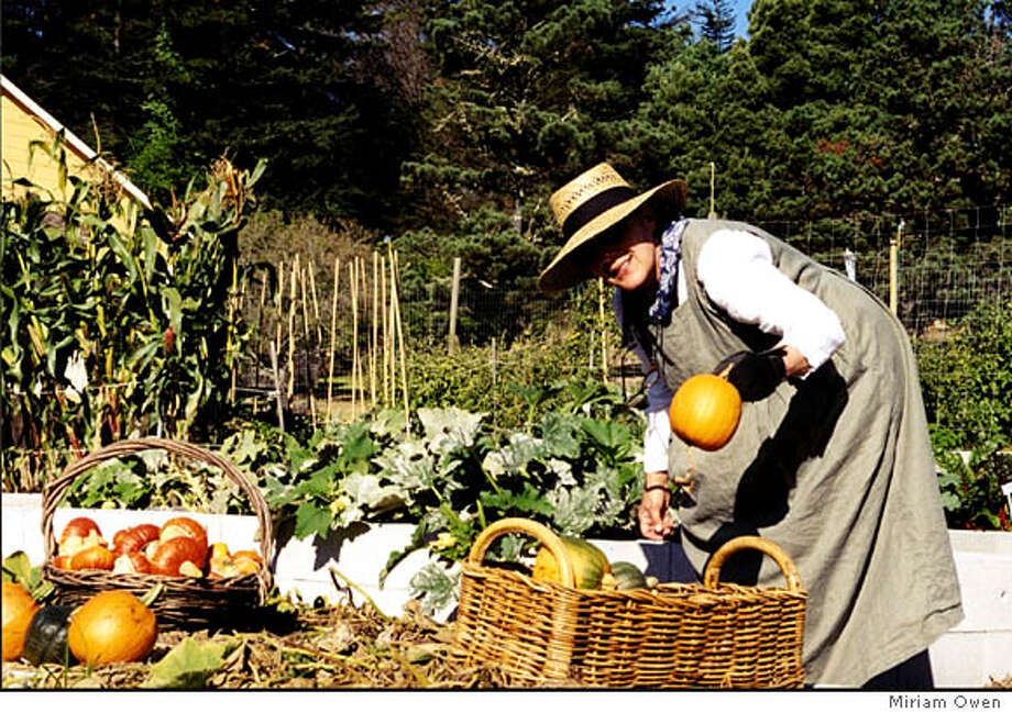 Fresh Veggies Focus Of Coastal Getaway Pick Your Own At Mar