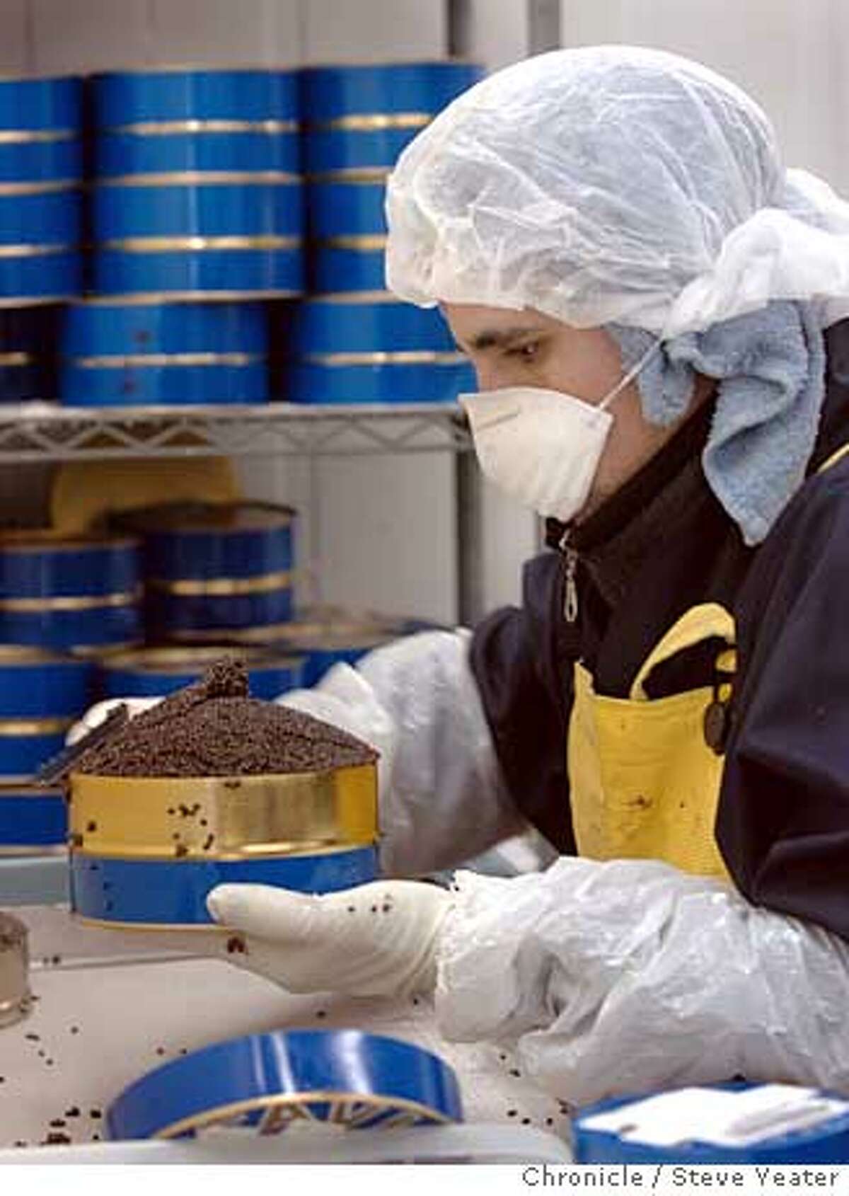 Ismael Lopez packs caviar into tins at Stolt Sea Farm in Elverta, Calif., on Thursday, Jan. 5, 2005.(Photo/Steve Yeater)
