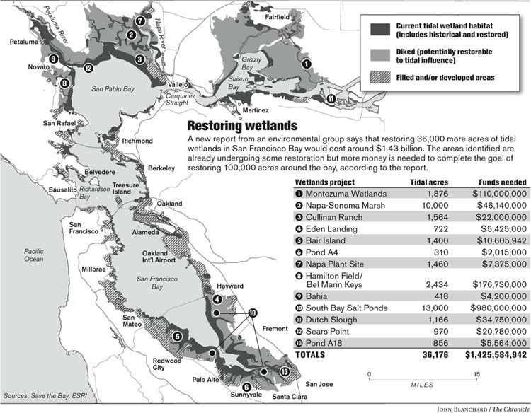 143 Billion Restoration Of 36000 Acres Of Bay Wetlands Floated In Report