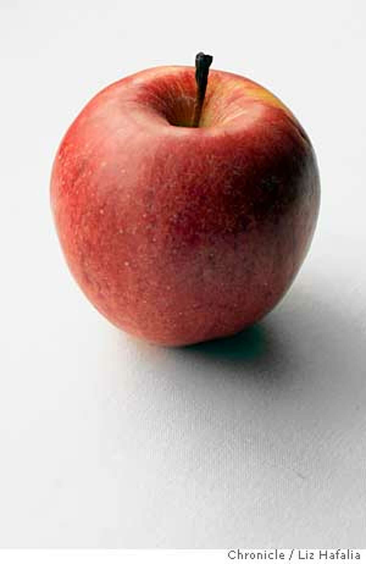 Apple Photographed by Liz Hafalia on 12/7/05 in San Francisco, California. Styled by Amanda Gold. SFC