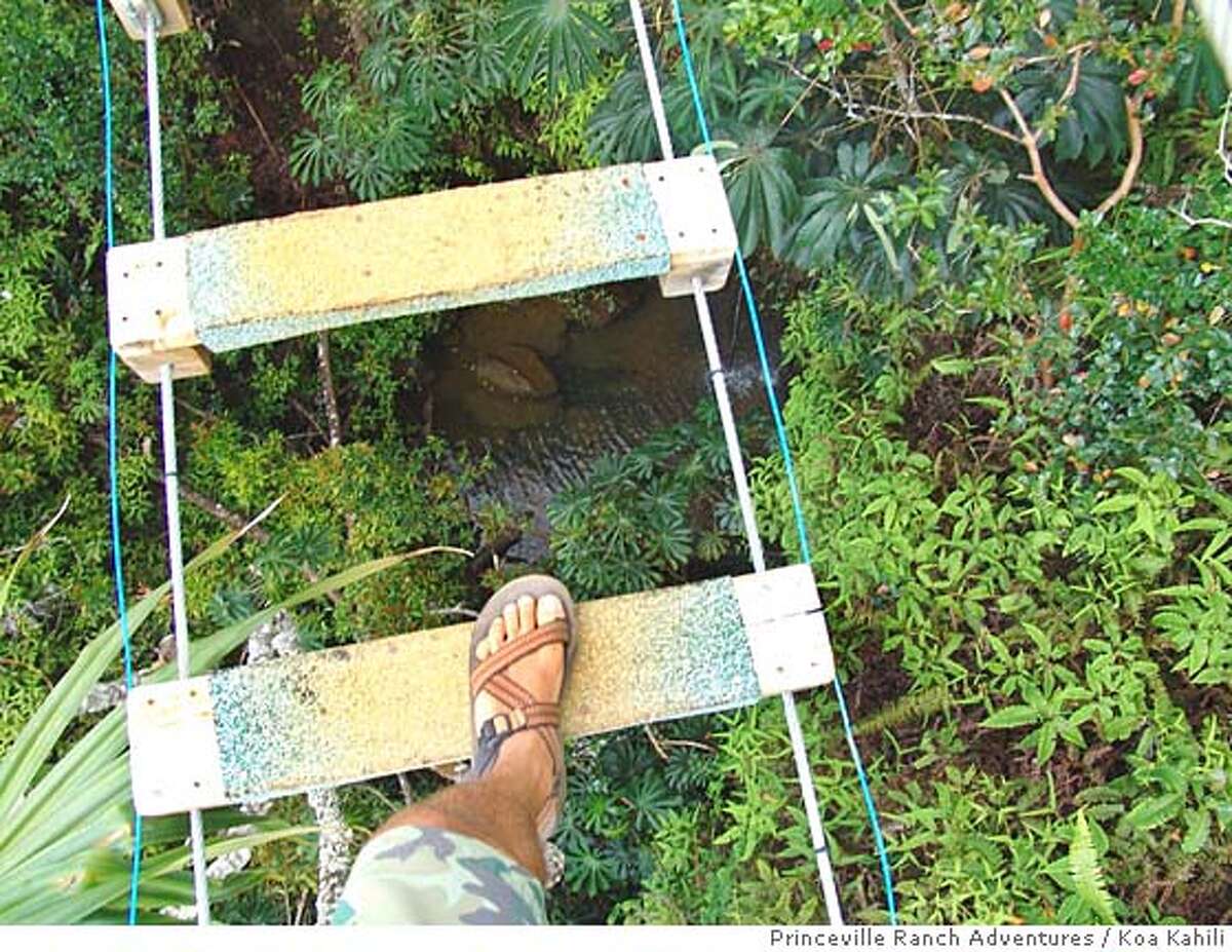 Ziplines fly over Kauai