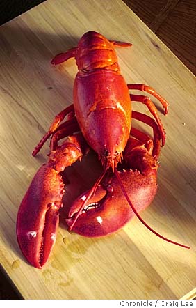 How to Microwave Lobster: Yes it really works in a pinch!