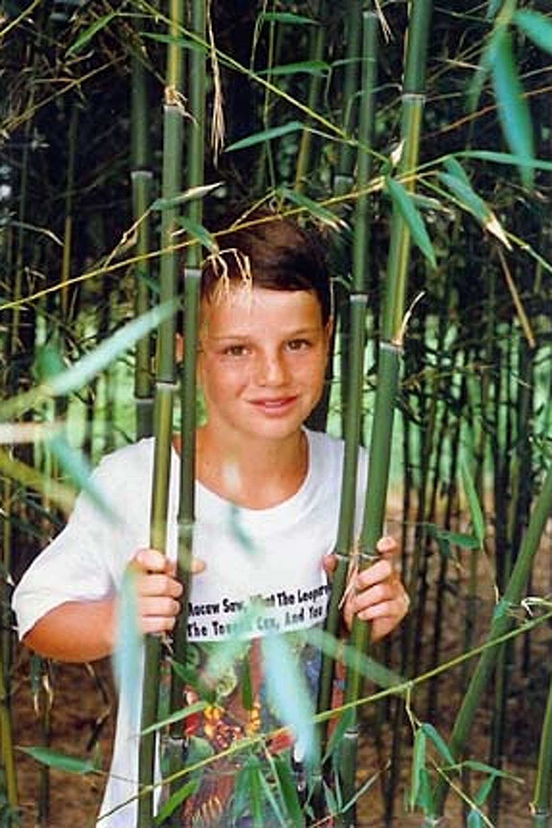Don't be bamboozled by robust bamboo / Once established, this multitalented  grass can get away from you