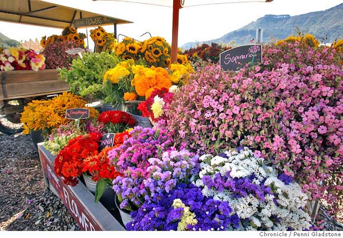 Carmel's Earthbound Farms offers flower walks and more