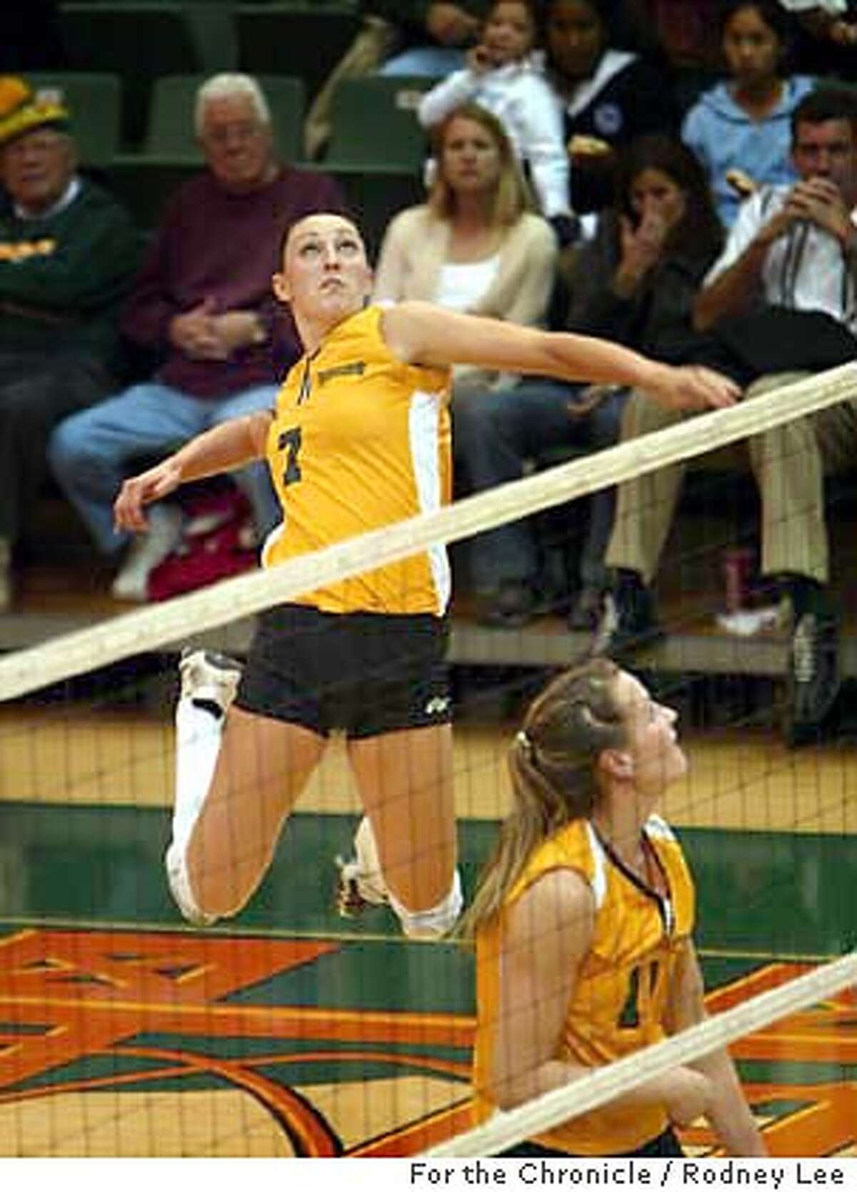 10. Top Transfer: Janice Rivera Chooses Usf Volleyball - pr3u3fp