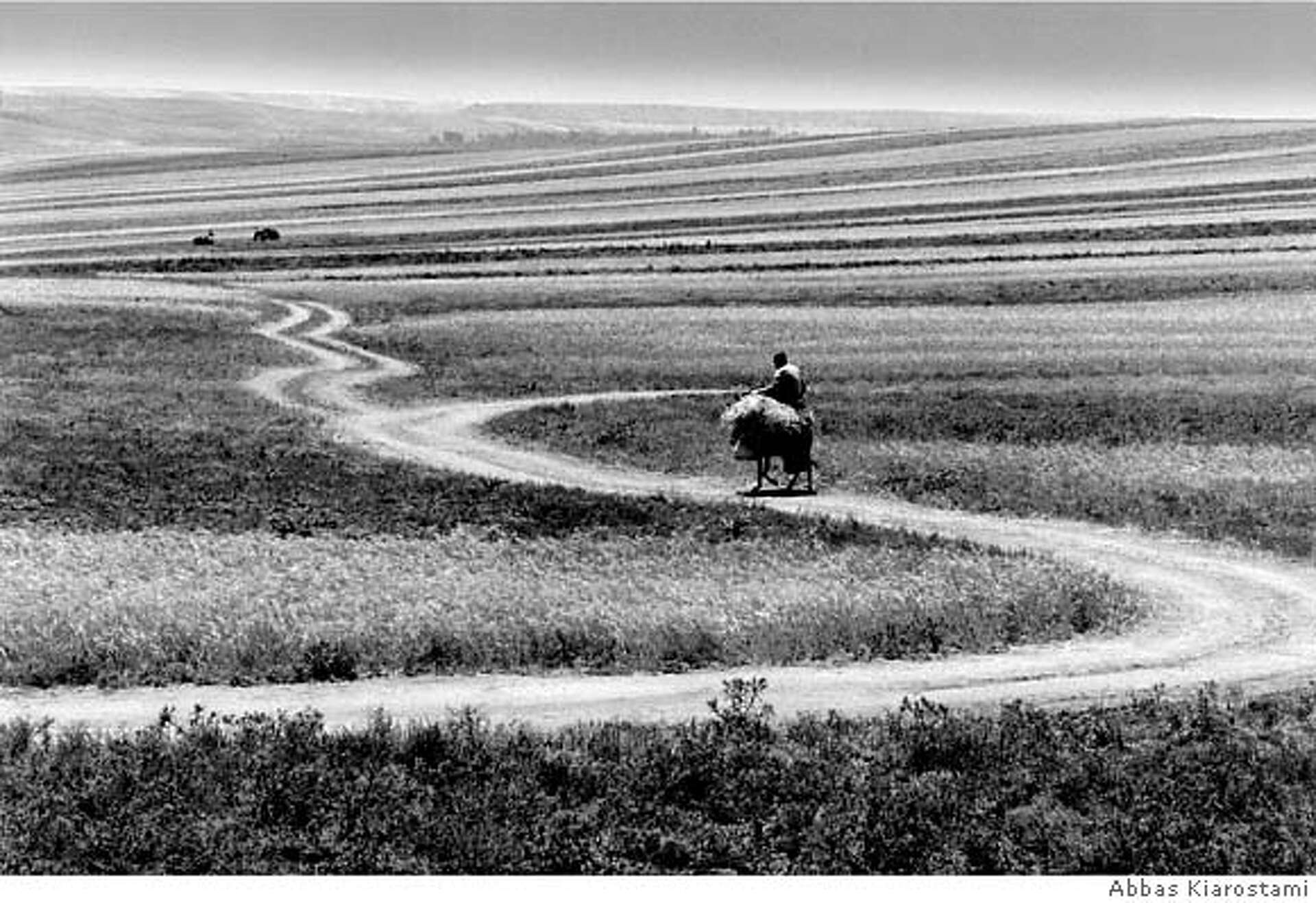 Kiarostami / Iranian director's work from cinema to photos
