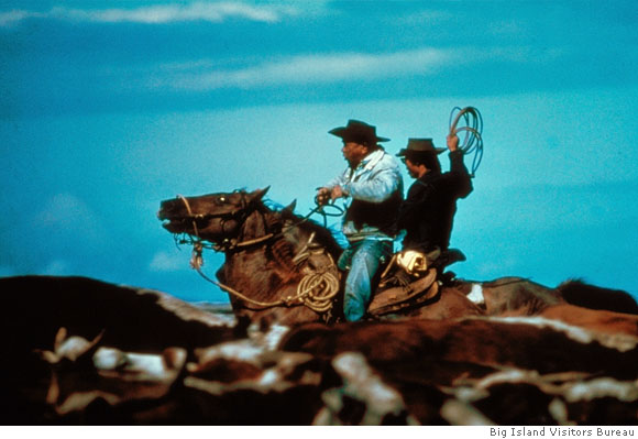 Ride 'em cowboy! It's the Year of the Paniolo.