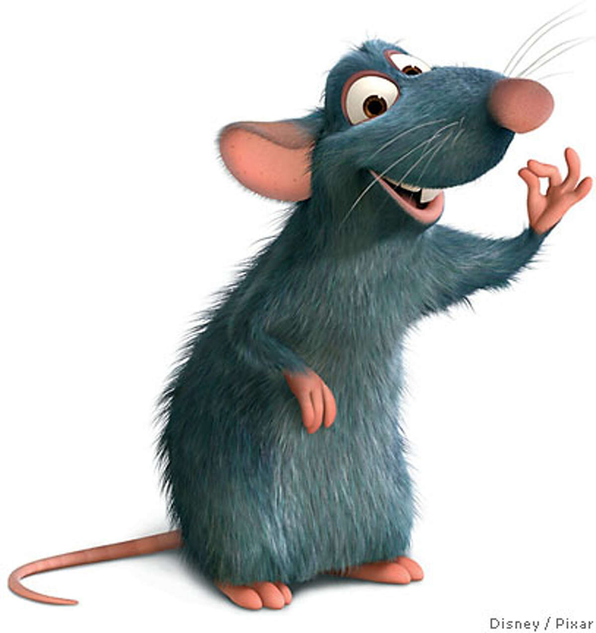 RAT PATROL RAT PATROL