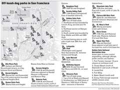 S.F.'S BEST FRIEND / Where pooches outnumber kids, impassioned, doting ...