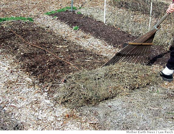 Weed Rips Weed it and reap a more bountiful, easier-to-grow garden