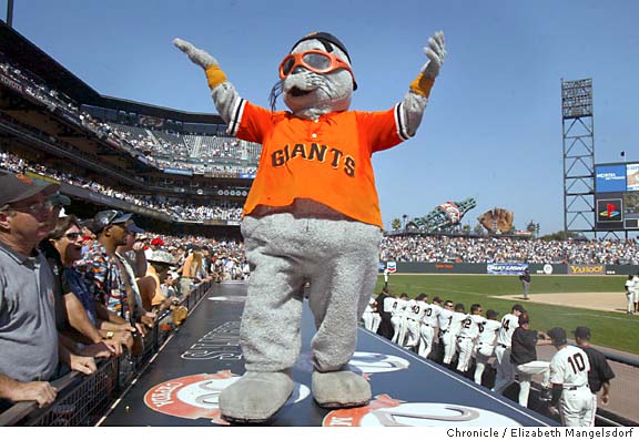 The San Francisco Giants mascot Lou Seal stands on the field