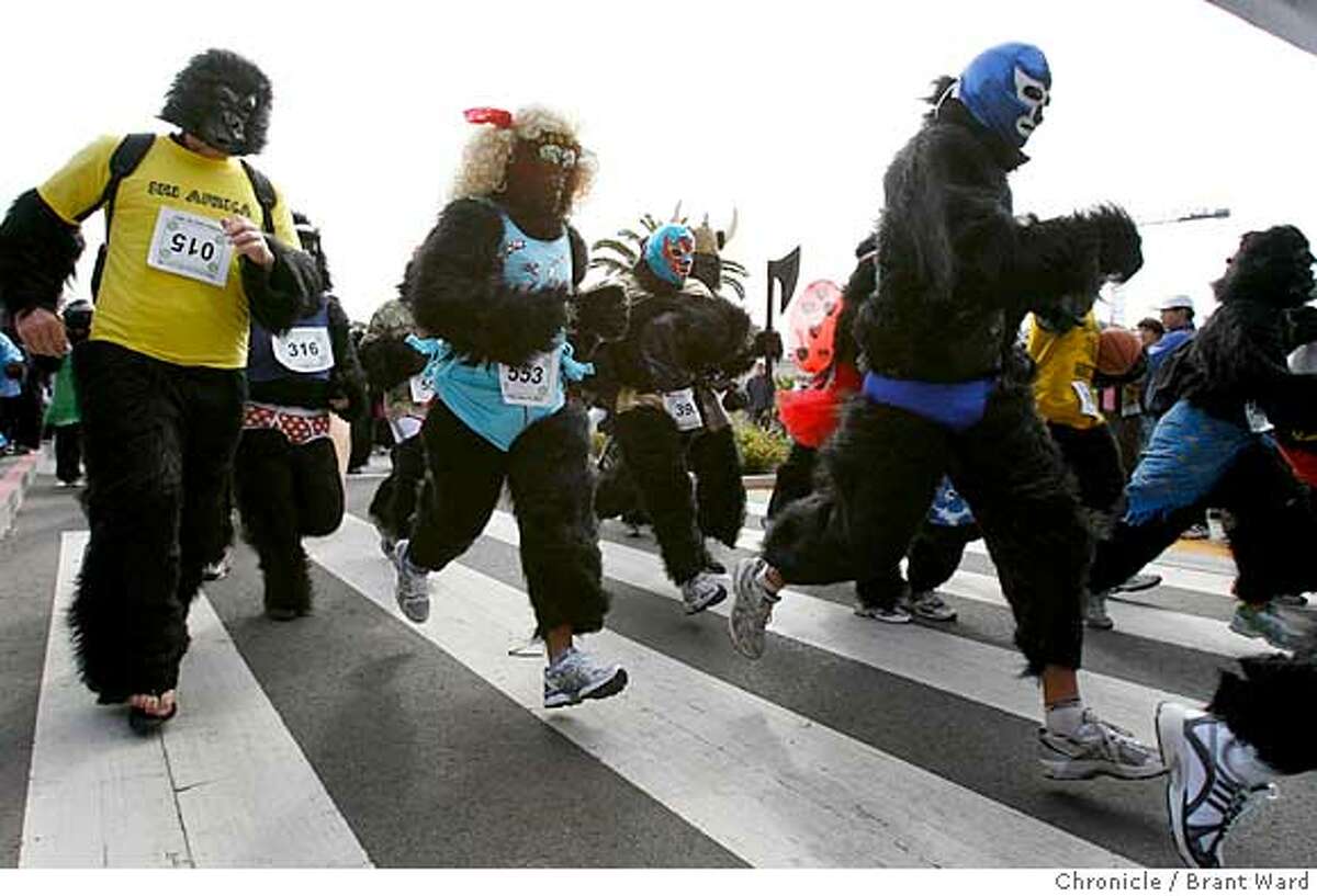 And they're off...the 400 plus gorillas began their run through Golden Gate Park. The first annual San Francisco Great Gorilla Run began in Golden Gate Park just near the bandshell Sunday. Over 400 people, dressed as gorillas, ran a 7K race to raise funds for mountain and low land gorillas threatened in the Congo, Uganda and Rwanda. {Brant Ward/San Francisco Chronicle}6/10/07