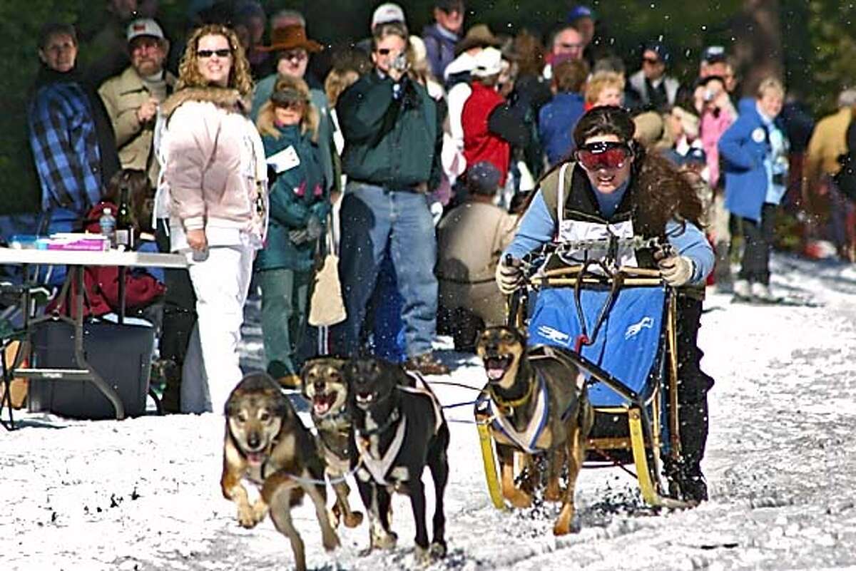 A large crowd cheers as Stacy Motschenbacher of Rogue River, Oregon takes off to a fast start in the 4 dog team Sprint Races last February at the USDA Forest Service Klamath National Forest, Deer Mountain/Chuck Best Snowmobile Park, just north of Weed on Hwy. 3.