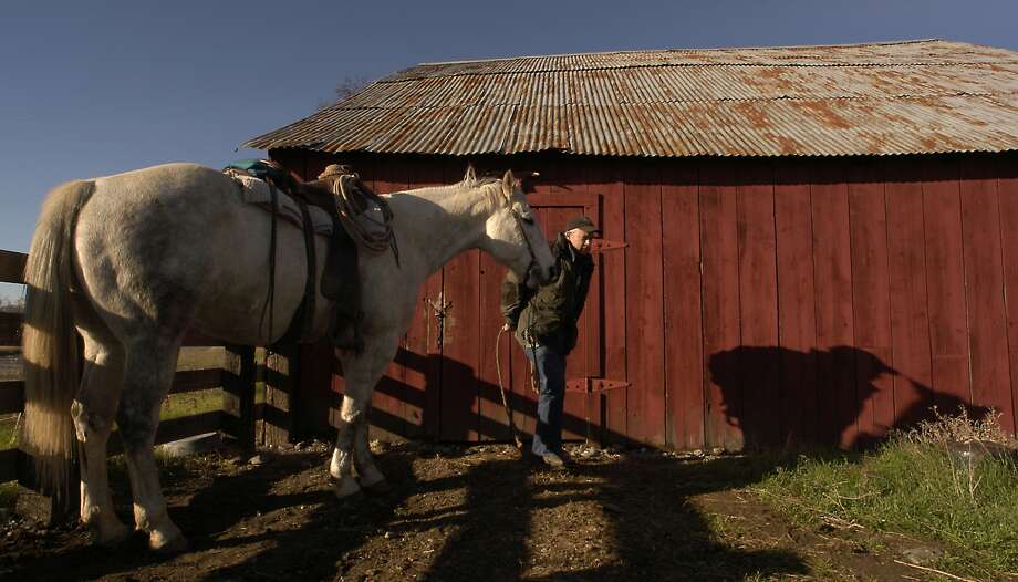 Tehama County
Percent of housing units in high to extreme risk: 40 percentNumber of housing units in high to extreme risk: 10,700 Photo: Michael Burke/Special To The Chr