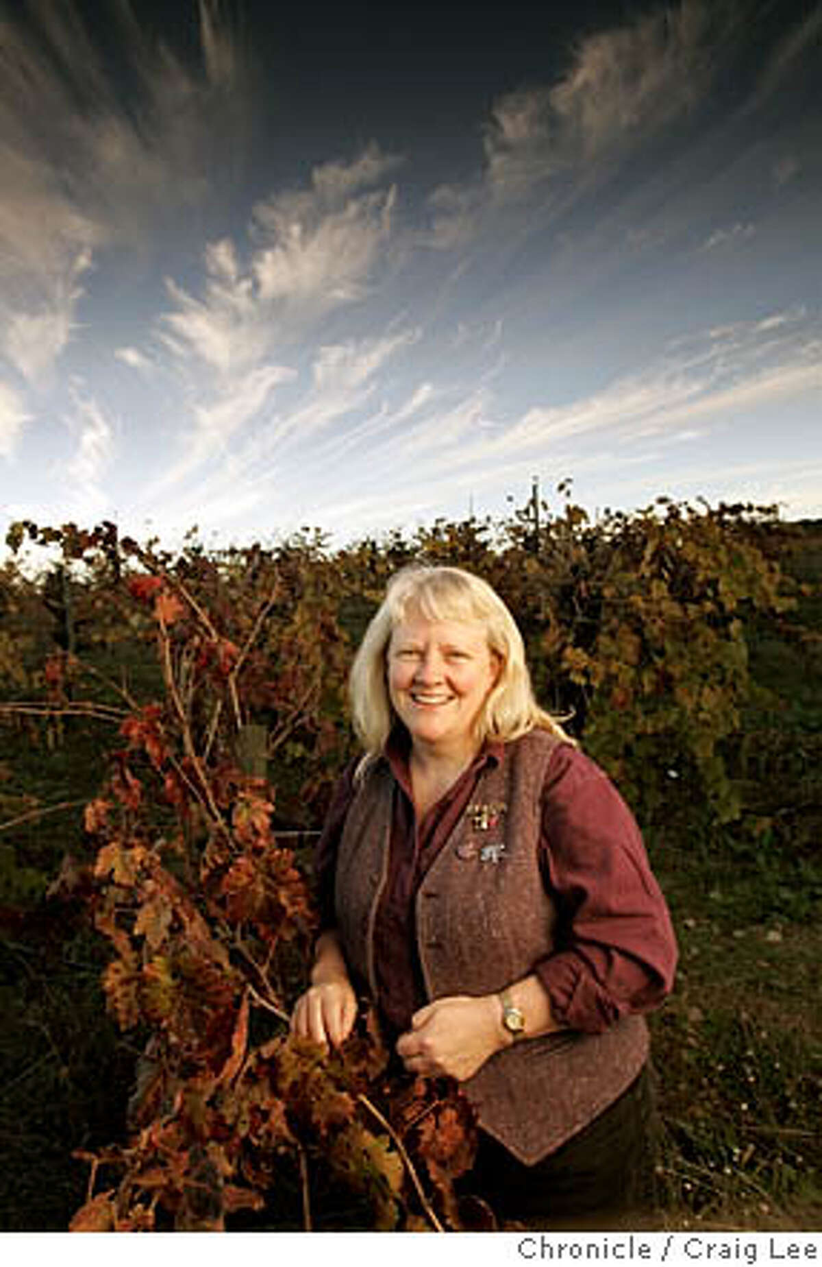 For Winemakers of the Year package. Photo of Carol Shelton in her Zinfandel vineyard. Event on 11/17/05 in Ukiah. Craig Lee / The Chronicle