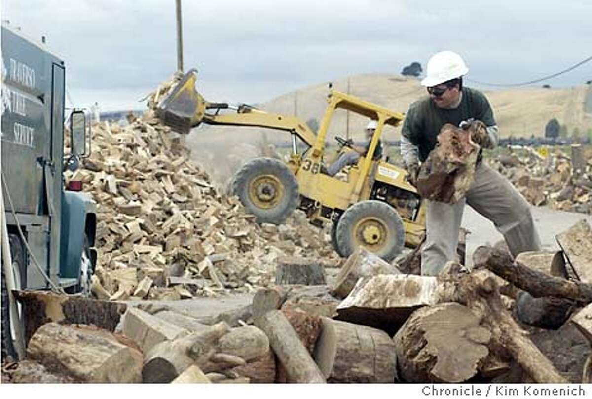 9/9/03 in Martinez. Employee Juan Garcia moves firewood to the log splitter. John and Alyce Traverso's business, Traverso Tree Service is cited as a good example of an employer that is finding ways to keep up with rising medical plan costs. They have 17 employees and they dealt with this year's 8% hike by increasing employee co-pays. KIM KOMENICH / The Chronicle