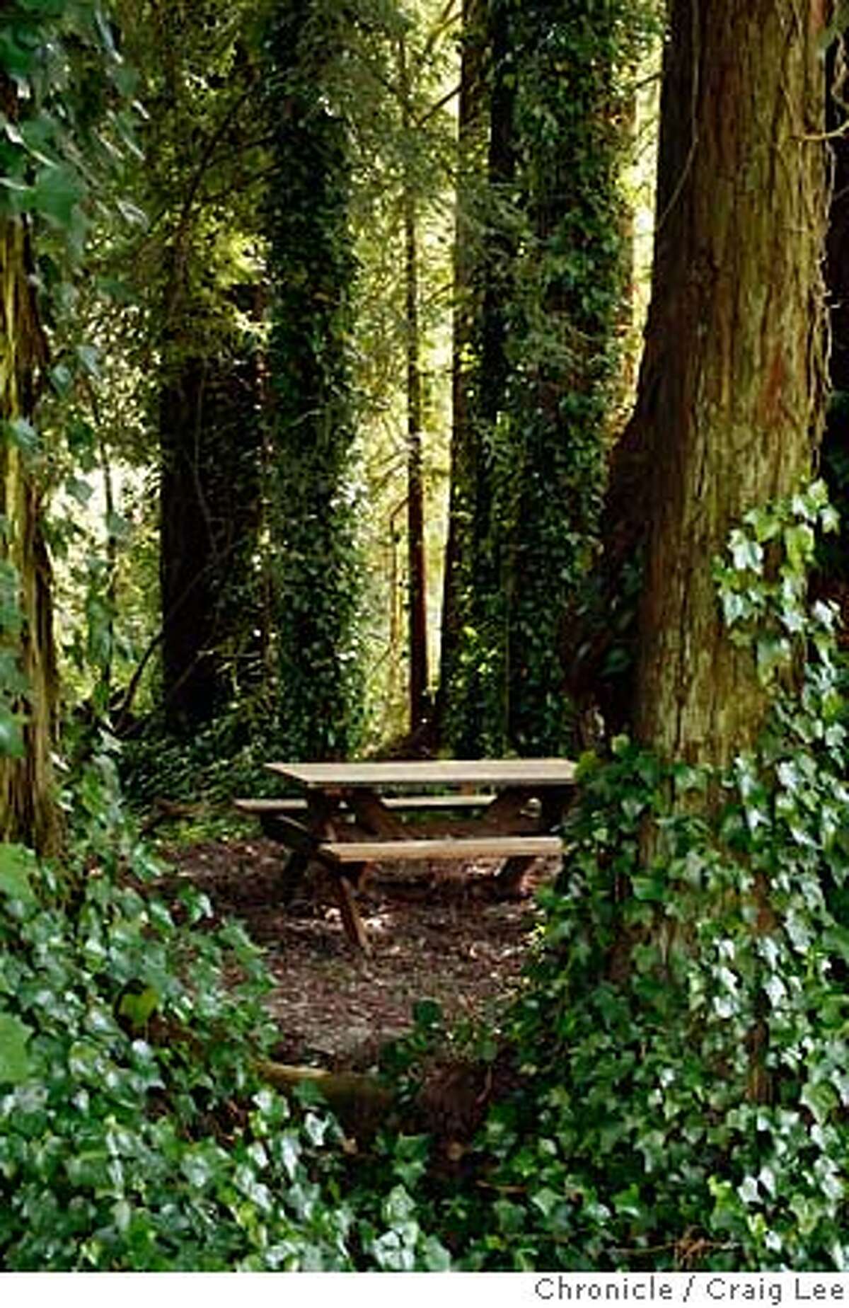 Perfect picnics / Santa Cruz A rich repast under the redwood trees