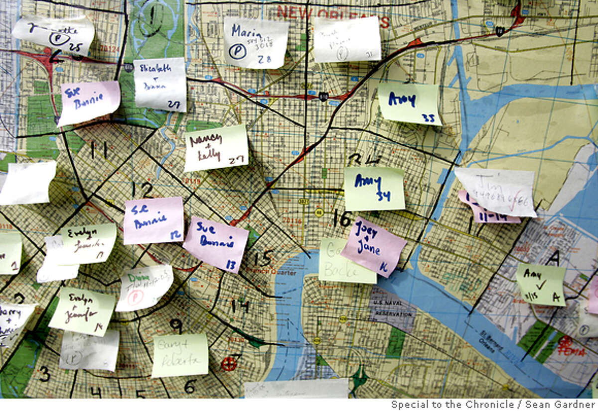 The dogs of New Orleans / After all the human tragedy, pets left behind