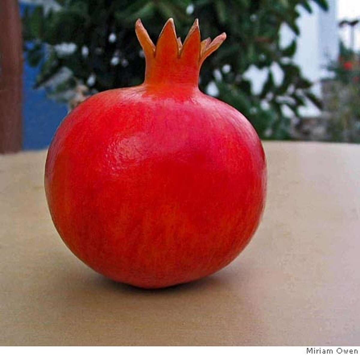 Pomegranate, the seed-filled fruit that, in Greek mythology, was the source of winter. Credit: Miriam Owen