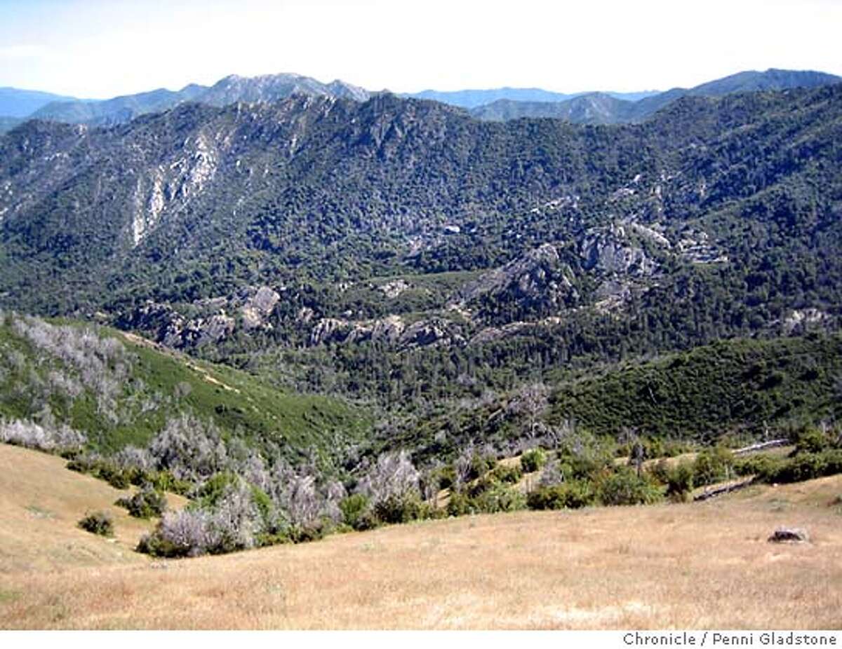 Experience The Call Of The Wild Ventana Wilderness Central Coast   1200x0 