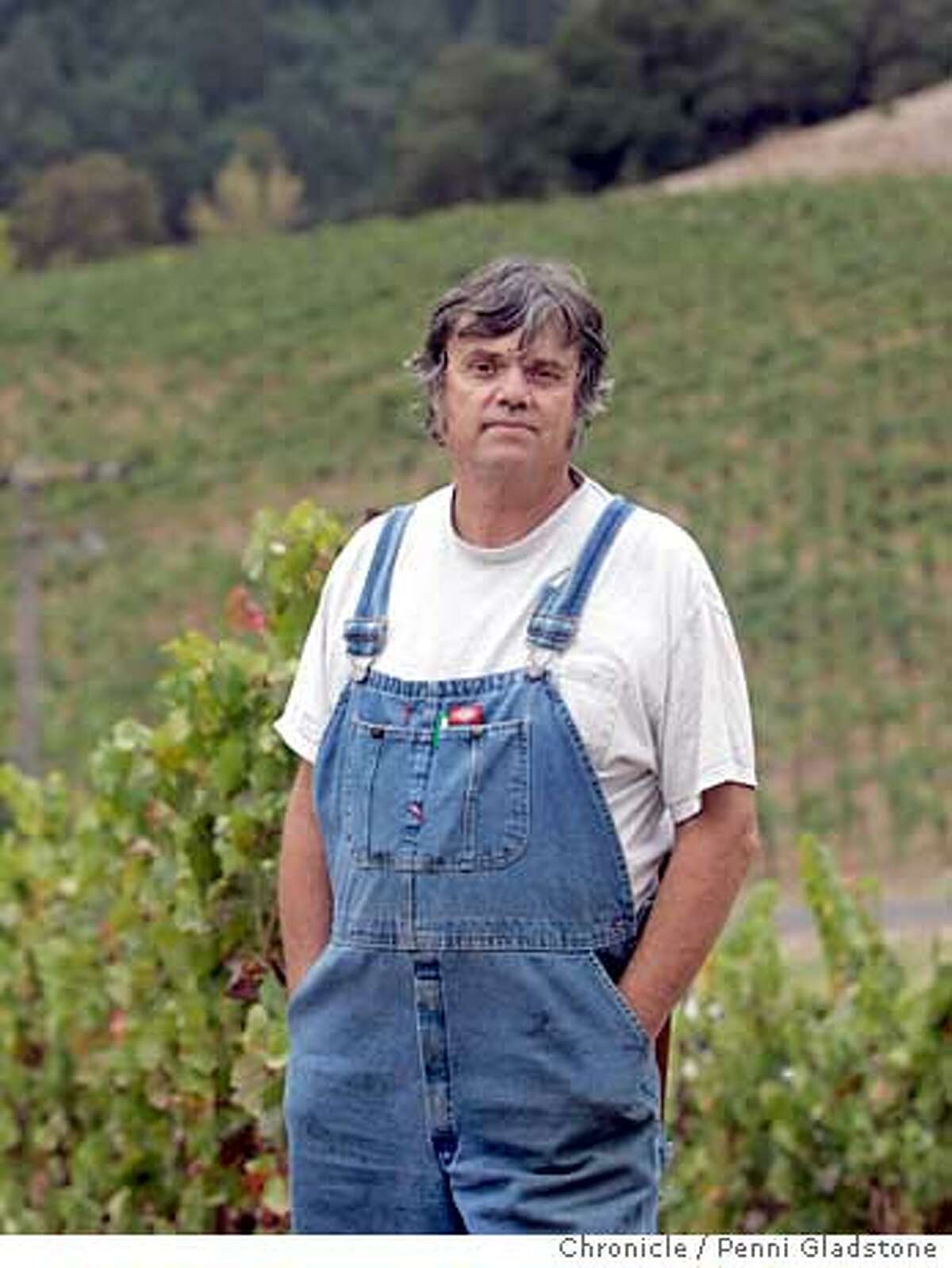 ELECTION_SOONOMA_0121_PG.JPG George Davis, (favors M) owner of Porter Creek Vineyards in Healdsberg Measure M in Sonoma county which would ban genetically modified crops. San Francisco Chronicle, Penni Gladstone Photo taken on 10/18/05, in Healdsberg,