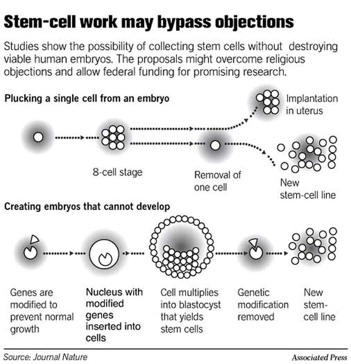 Stem-Cell Work May Bypass Objections. Associated Press Graphic