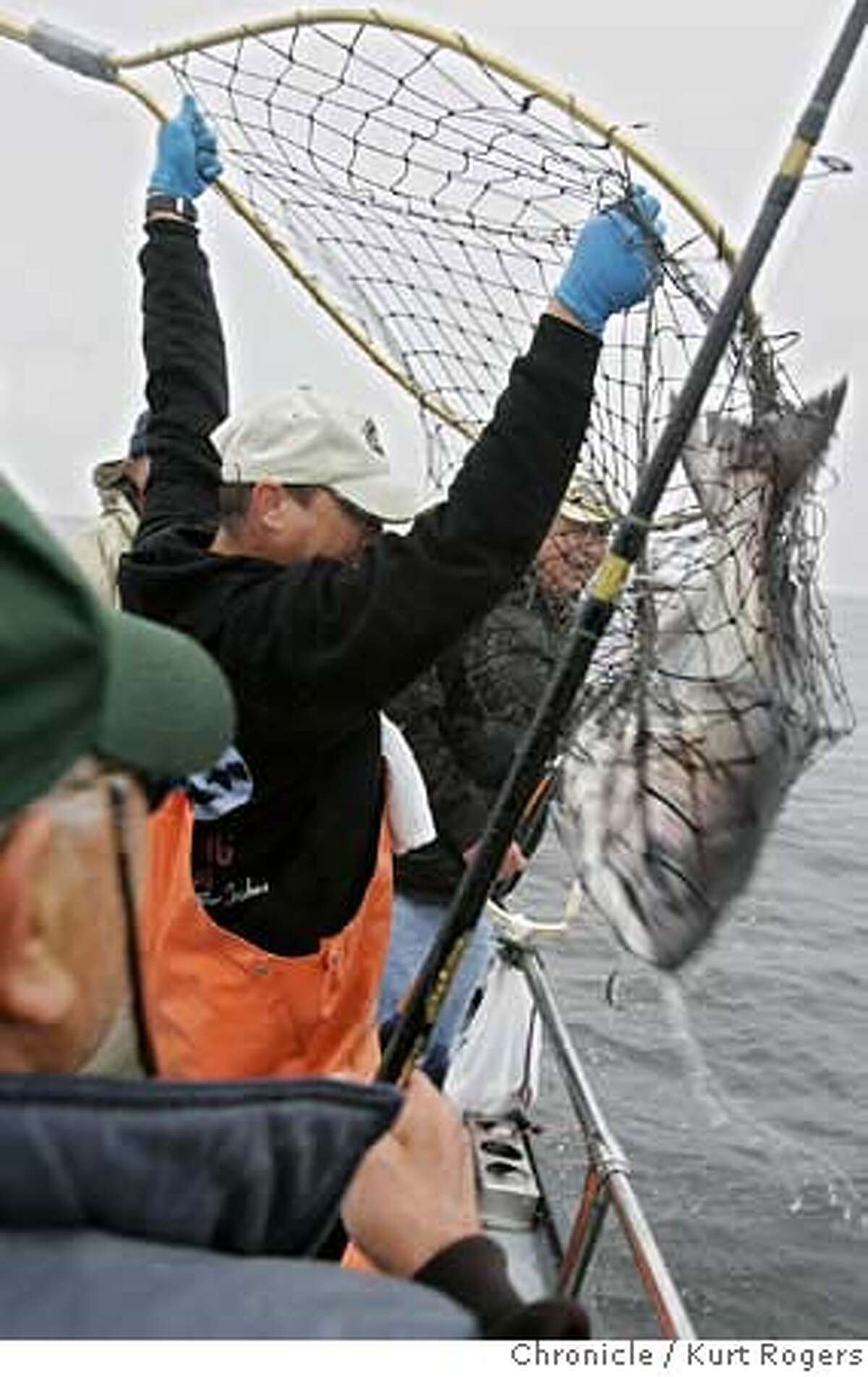 Tom Brenot halls in this 22 pound Salmon for Tukio Manabe in who in in the foreground. Opening day for recreational salmon season. SATURDAY, APRIL 7, 2007 KURT ROGERS SAN FRANCISCO THE CHRONICLE KURT ROGERS/THE CHRONICLE SALMON_0214_kr.jpg MANDATORY CREDIT FOR PHOTOG AND SF CHRONICLE / NO SALES-MAGS OUT
