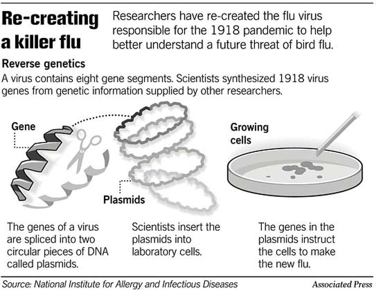 Deadliest flu bug given new life in U.S. laboratory / Some applaud