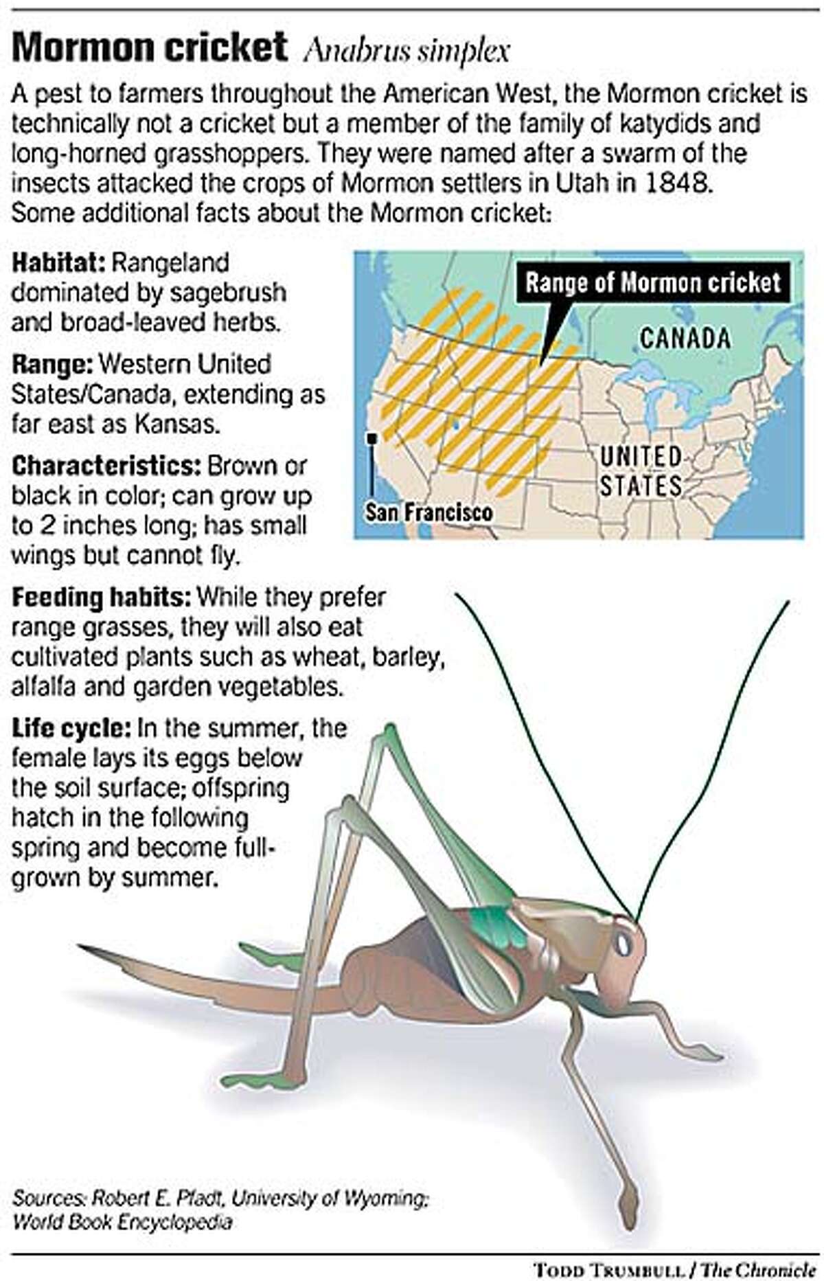 Plague of crickets besieges town / Elko, Nev., residents fight back
