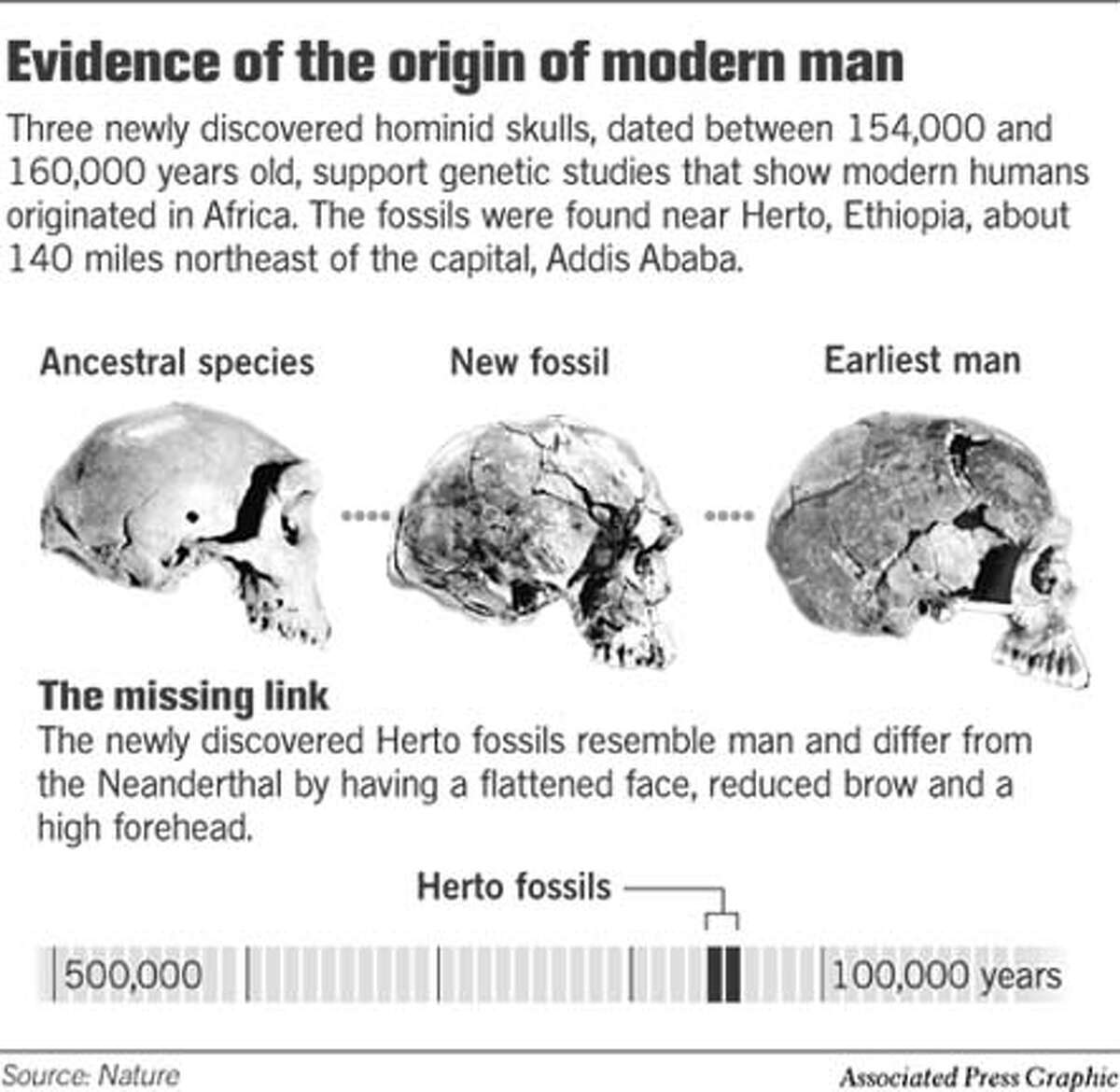 Fossils of 160,000-year-old skulls fill gap in human evolution record ...