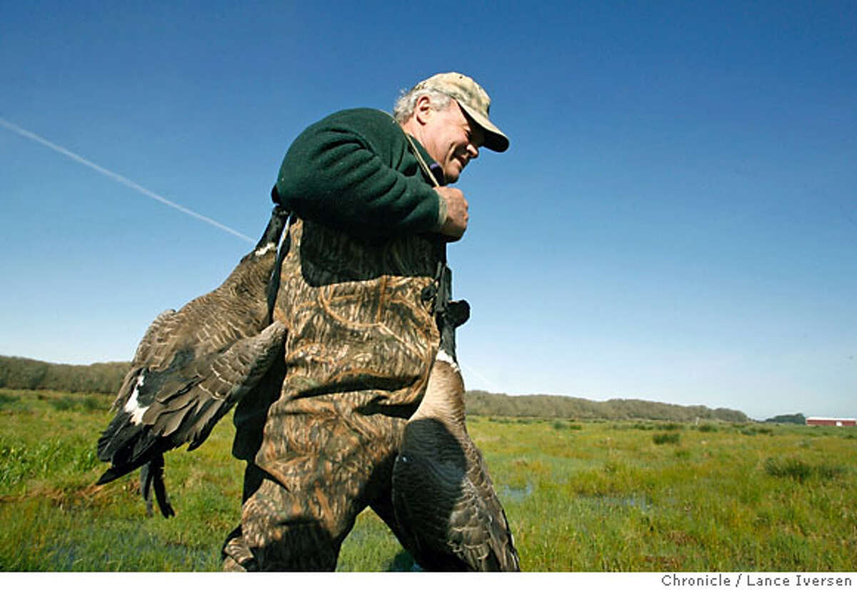FROM TOO FEW TO TOO MANY / Aleutian goose's rebound a problem for