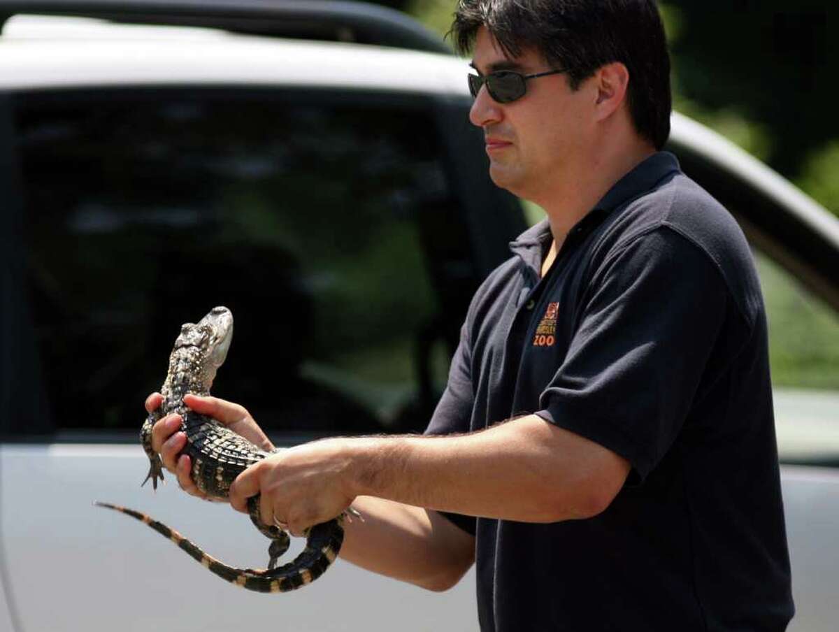 Exotic animals, owners, offered amnesty