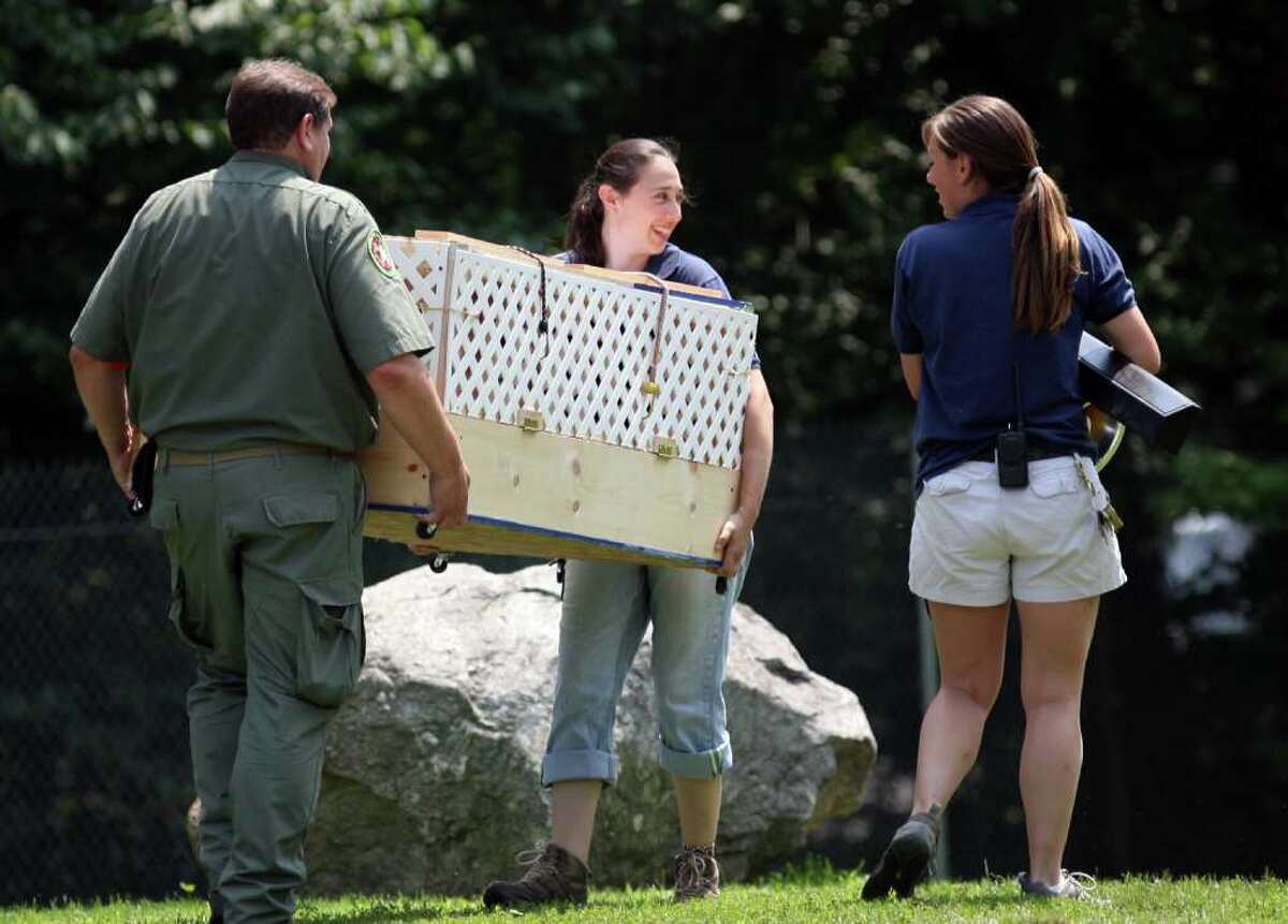 Exotic animals, owners, offered amnesty