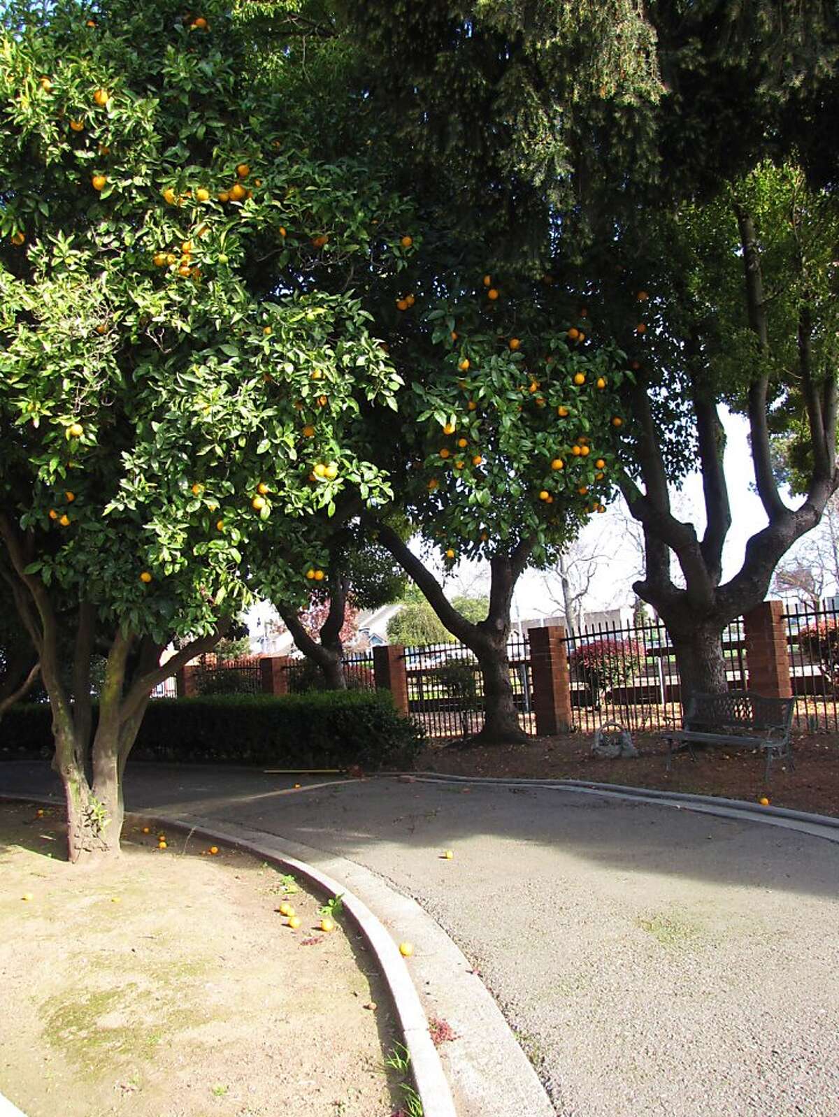 Hesperian Boulevard, Hayward