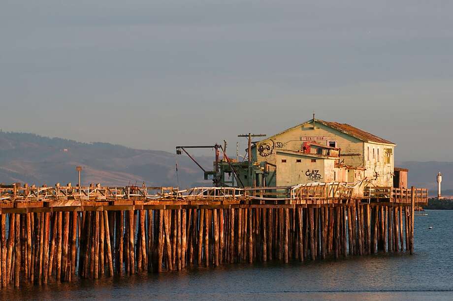 PrincetonbytheSea no need to be a maverick SFGate