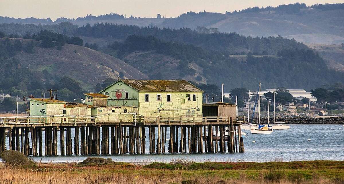 PrincetonbytheSea no need to be a maverick