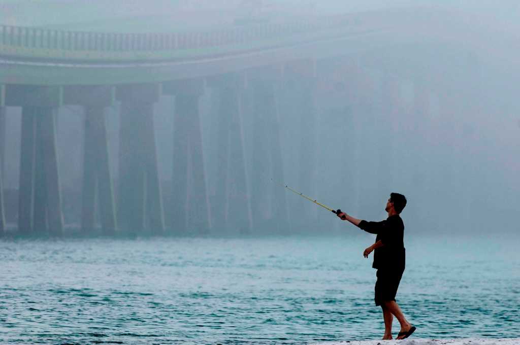 The biggest fish caught off the Texas coast according to Texas Parks ...