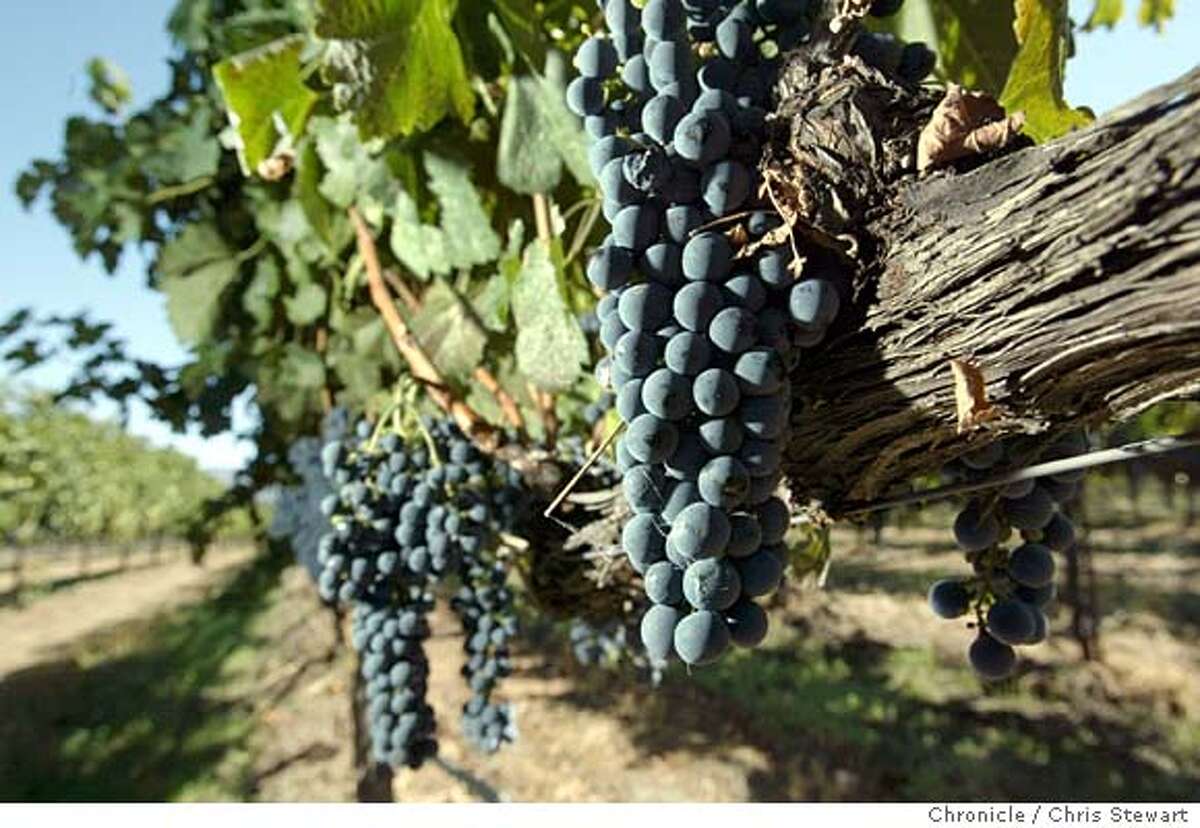 Horns of plenty / If burying manure in a cow horn seems an odd way to
