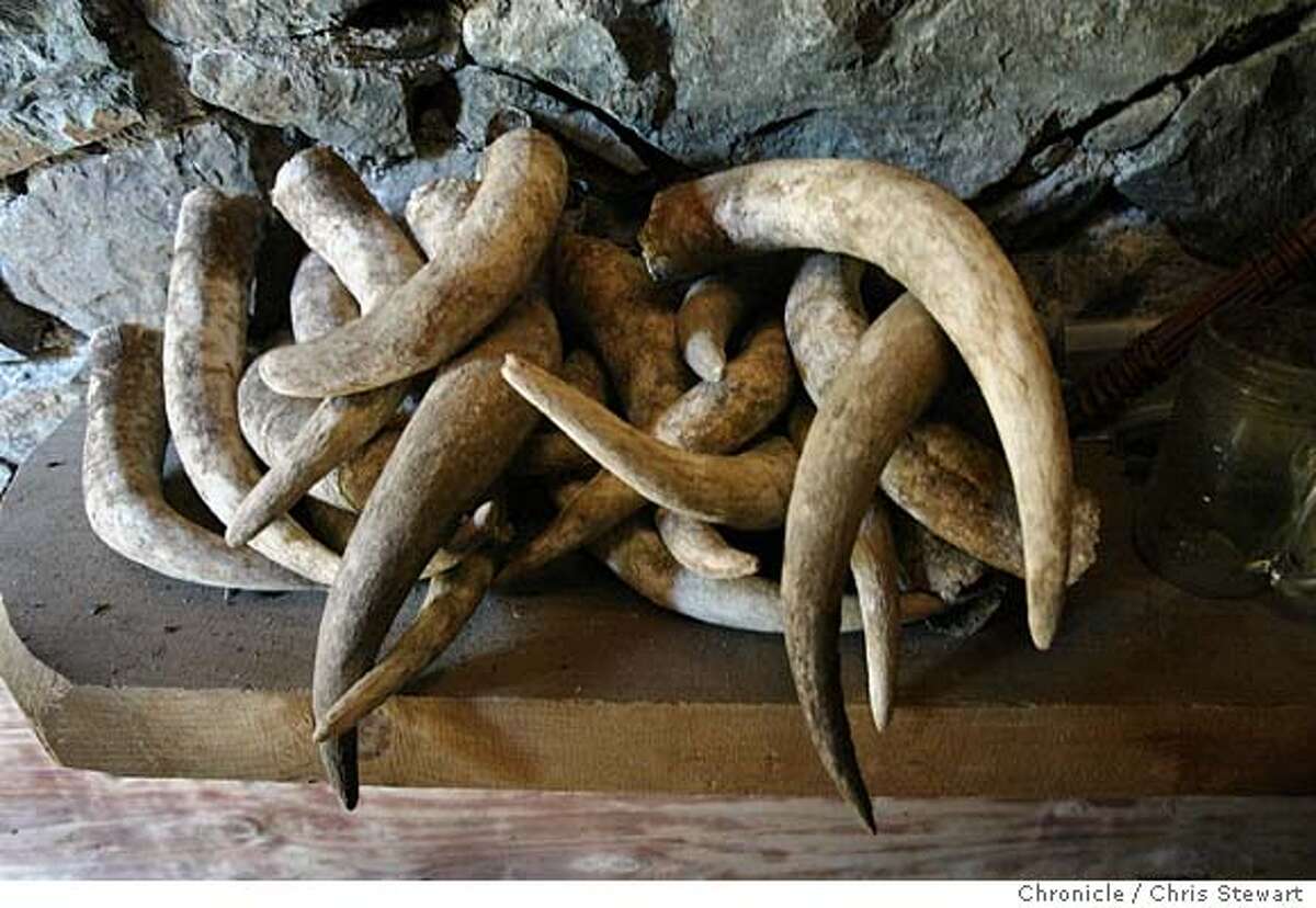 Horns of plenty / If burying manure in a cow horn seems an odd way to