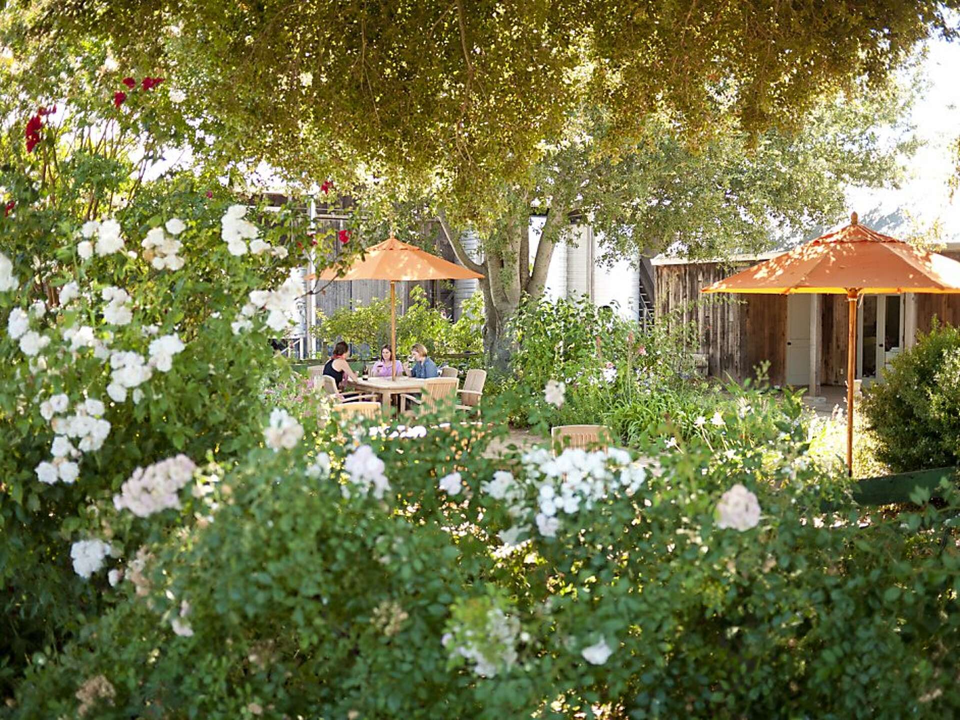 Saintsbury winery appealing with reservations