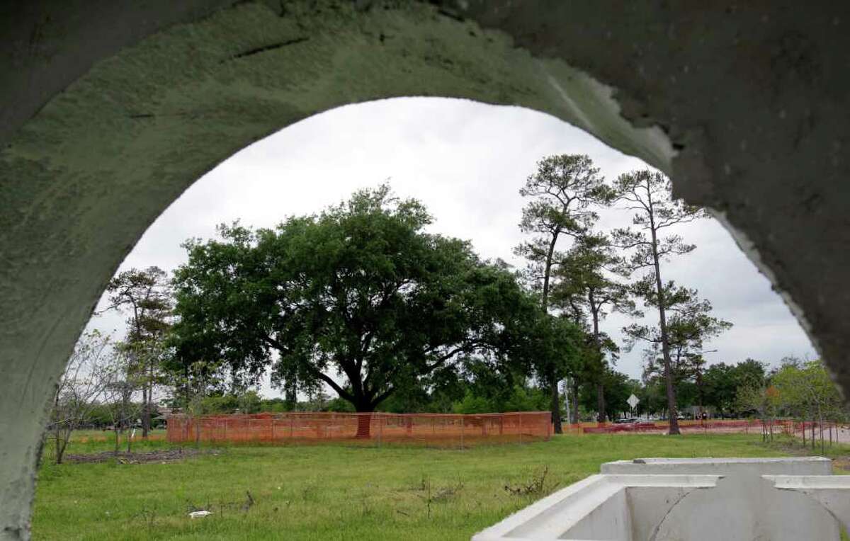 The tree near the intersection of Martin Luther King and Old Spanish Trail, a memorial to Martin Luther King Jr., is in the construction path of the Southeast light rail line. Metro has voted to relocate the tree and spend $650,000 on a King memorial plaza.