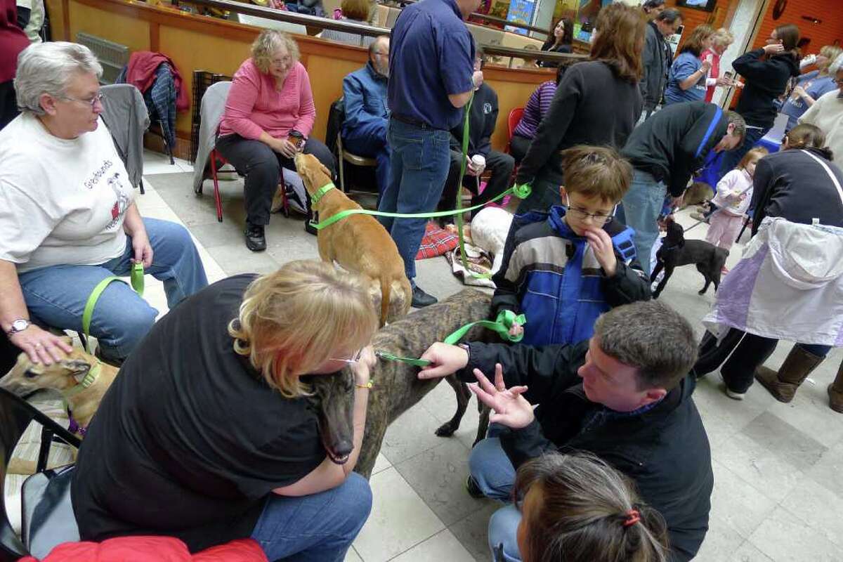 Photos Pet adoptions
